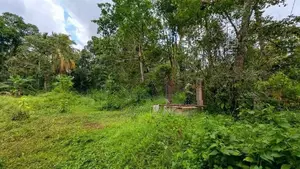 කඩවත වෑබඩින් වටිනා ඉඩමක් විකිණීමට.