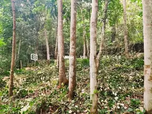 මීරිගම Town එකට ලගින්ම පර්චස් 40 ක ඉඩමක්
