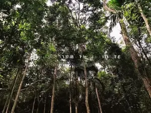 මීරිගම Town එකට ලගින්ම පර්චස් 40 ක ඉඩමක්