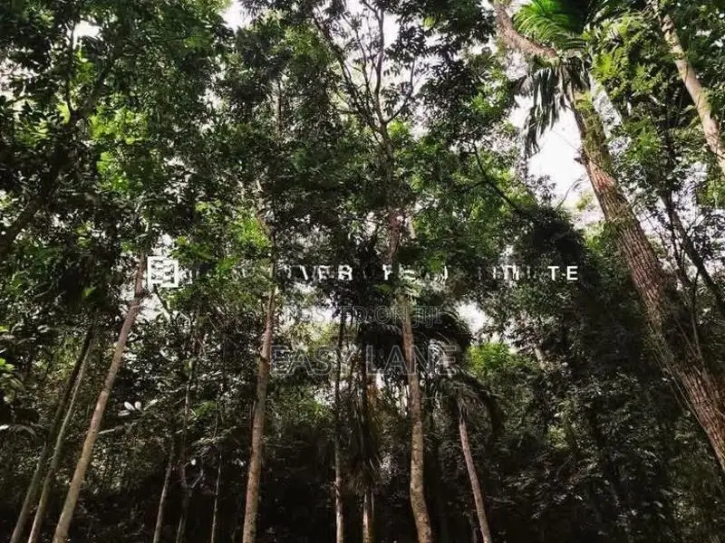 මීරිගම Town එකට ලගින්ම පර්චස් 40 ක ඉඩමක්