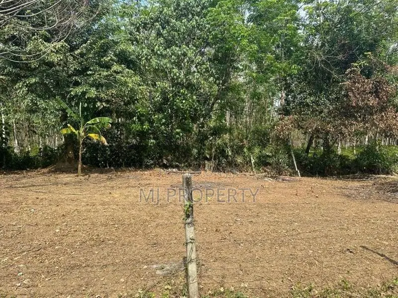 (TS-1209) Valuable Residential Bare Land Sale In Padukka