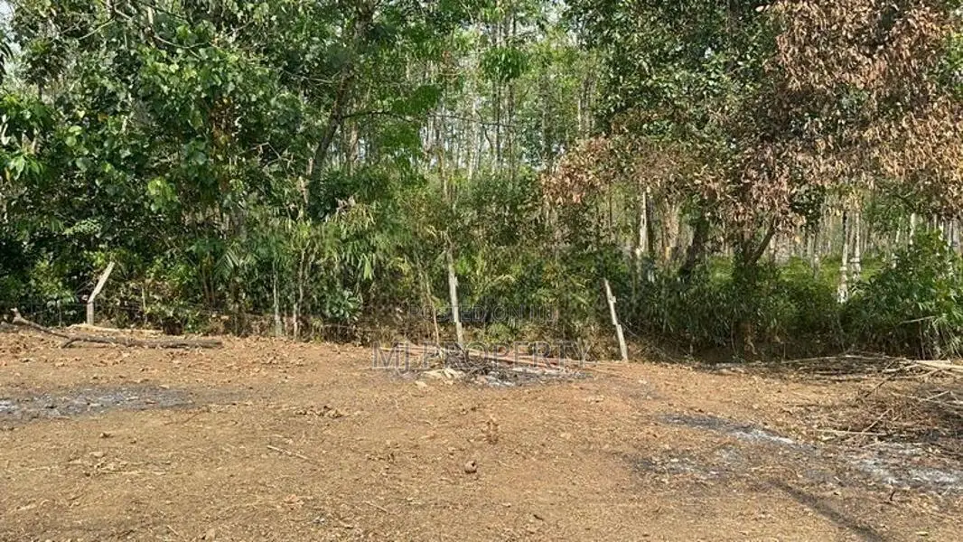 (TS-1209) Valuable Residential Bare Land Sale In Padukka