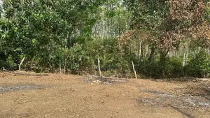 (TS-1209) Valuable Residential Bare Land Sale In Padukka
