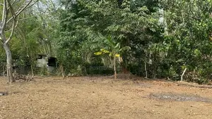 (TS-1209) Valuable Residential Bare Land Sale In Padukka