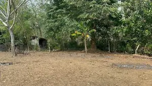 (TS-1209) Valuable Residential Bare Land Sale In Padukka