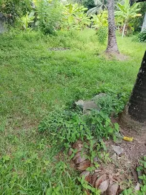 ගනෙමුල්ල වටිනා සින්නක්කර ඉඩමක් විකිණීමට