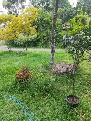 ගනෙමුල්ල වටිනා සින්නක්කර ඉඩමක් විකිණීමට