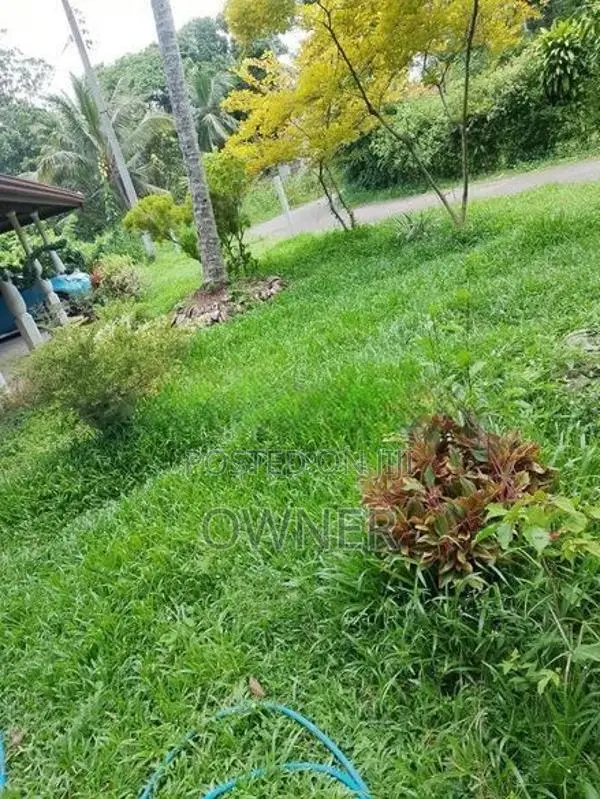 ගනෙමුල්ල වටිනා සින්නක්කර ඉඩමක් විකිණීමට