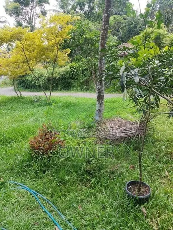 වටිනා සින්නක්කර ඉඩමක් විකිණීමට Niwandama