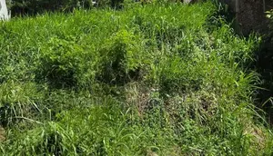 Land for Sale in Anniwatta