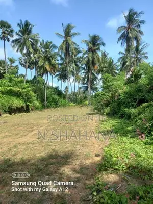 காணி விற்பனைக்கு.....