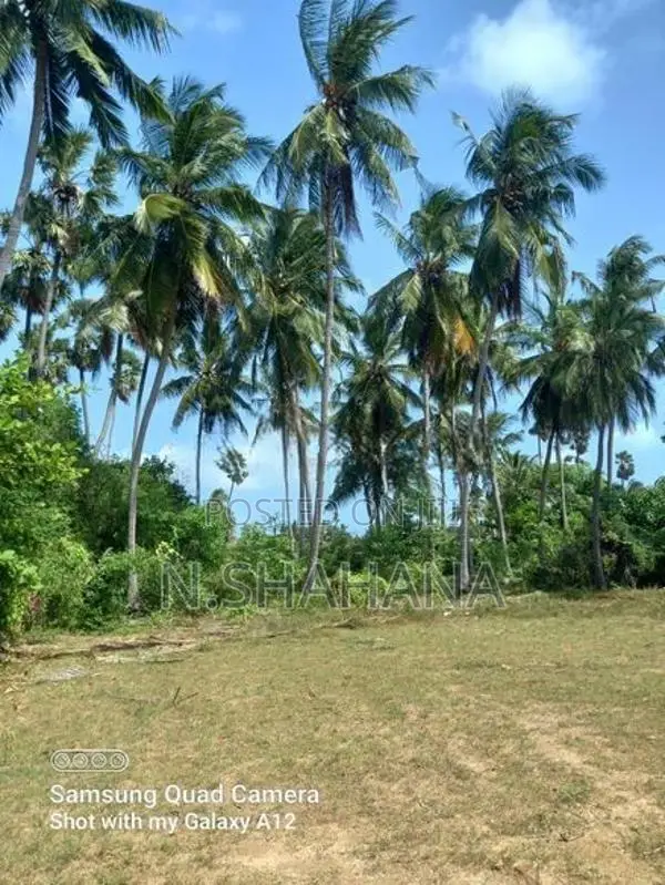 காணி விற்பனைக்கு.....