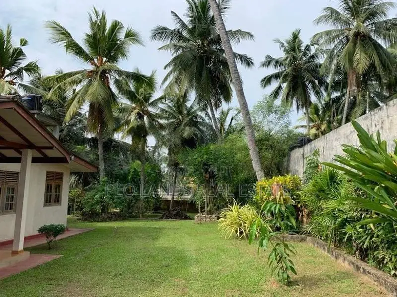 (AL357) 31 Perch Land with House for Sale in Pitipana