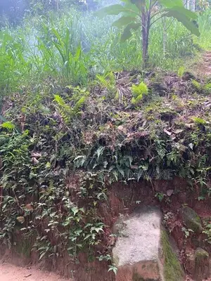Land for Sale in Gelioya
