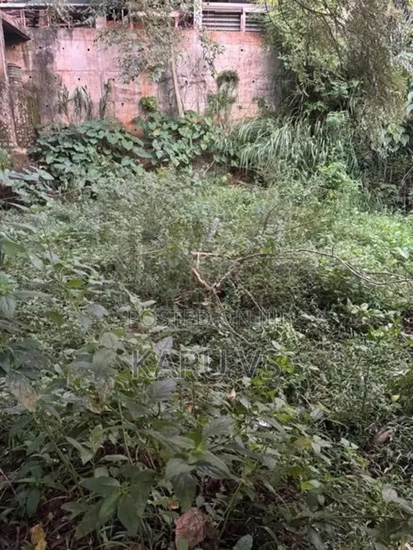 Prime Residential 14.7p Land in Aniwatte Road