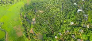 Fruit Land Plots Sale in Meegoda Atigala