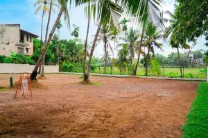 තලවතුගොඩින් අගනා බිම් කොටස් කිහිපයක් විකිණීමට