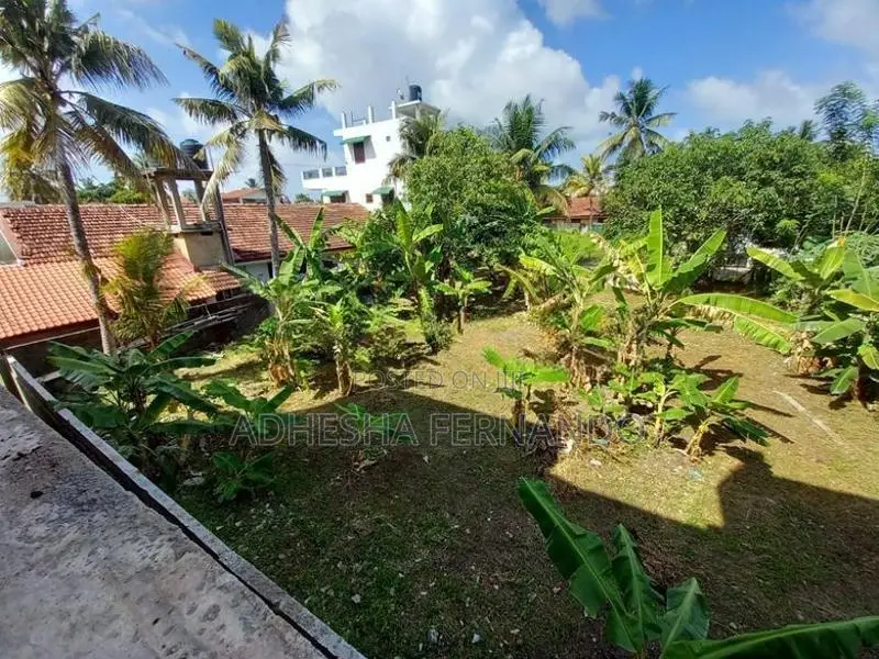 20P Land Negombo Dalupatha Prison Road