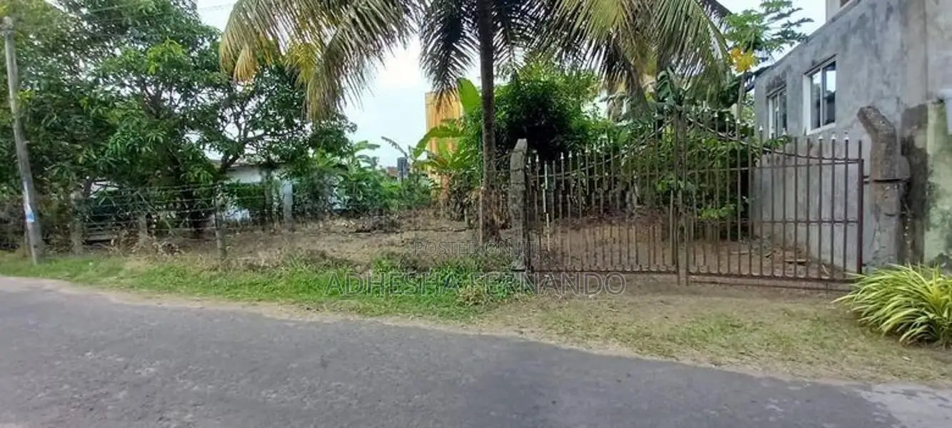 20P Land Negombo Dalupatha Prison Road