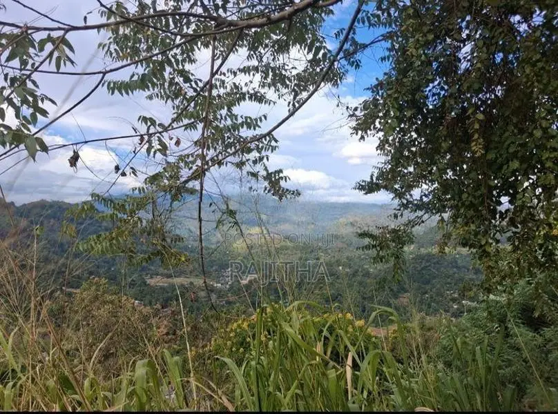 Bare Land In Bandarawela