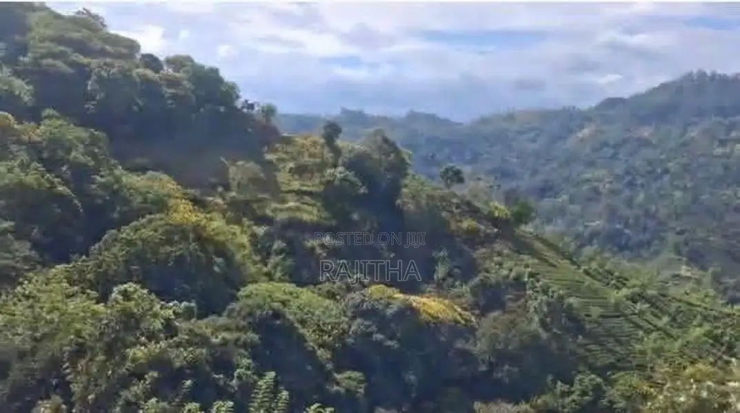 Bare Land In Bandarawela