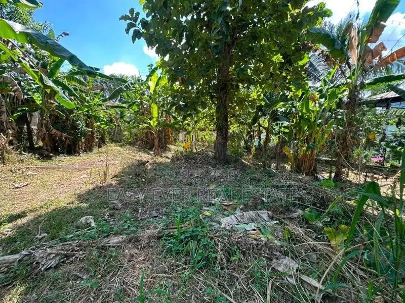 නිට්ටඹුවෙන් පර්චස් 10ක්