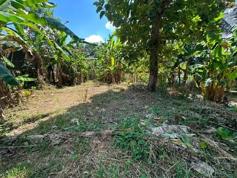 නිට්ටඹුවෙන් පර්චස් 10ක්