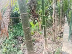 Land Or Sale In Monaragala