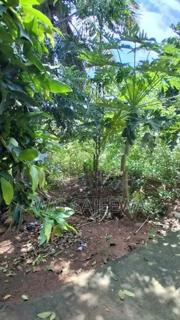 15 Perch Land for Sale Negombo