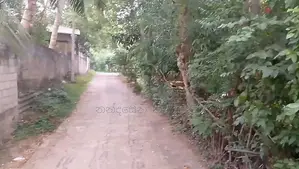 අම්පාර නගරසීමාව තුළ