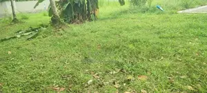 Land for Sale in Pannipitiya Town
