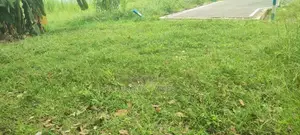 Land for Sale in Pannipitiya Town