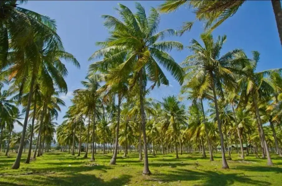 520 Perches Coconut Land For Sale – Pothuhera, Kalugamuwa In Kurunegal