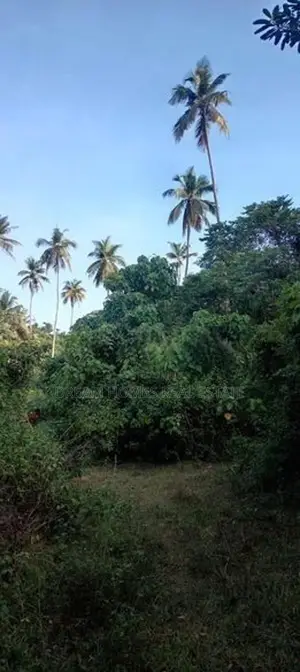 520 Perches Coconut Land For Sale – Pothuhera, Kalugamuwa In Kurunegal