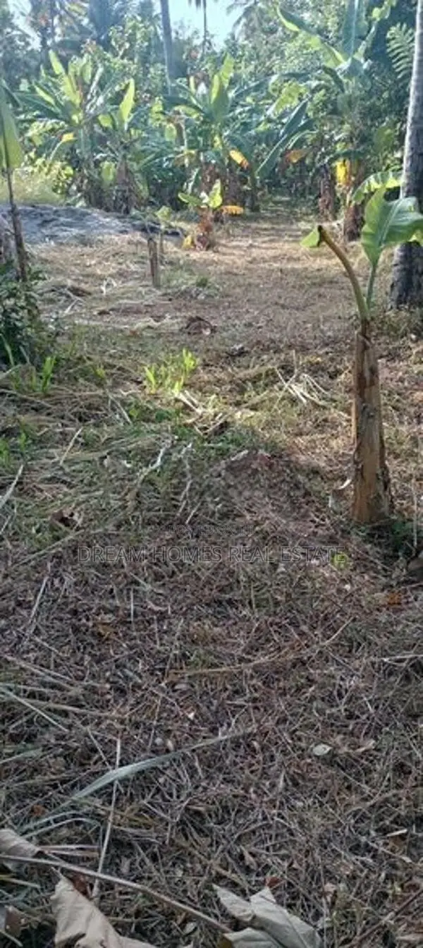 520 Perches Coconut Land For Sale – Pothuhera, Kalugamuwa In Kurunegal