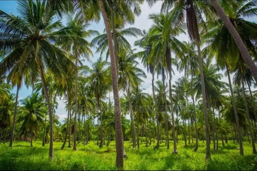 520 Perches Coconut Land For Sale – Pothuhera, Kalugamuwa In Kurunegal