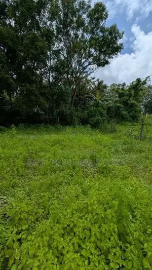 හෝමාගම – කිරිවත්තුඩුවෙන් පර්චස් 15 ක වටිනා ඉඩමක්