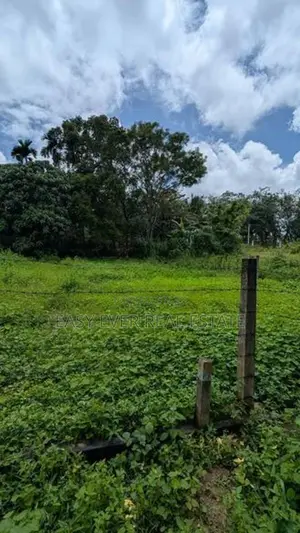 හෝමාගම – කිරිවත්තුඩුවෙන් පර්චස් 15 ක වටිනා ඉඩමක්