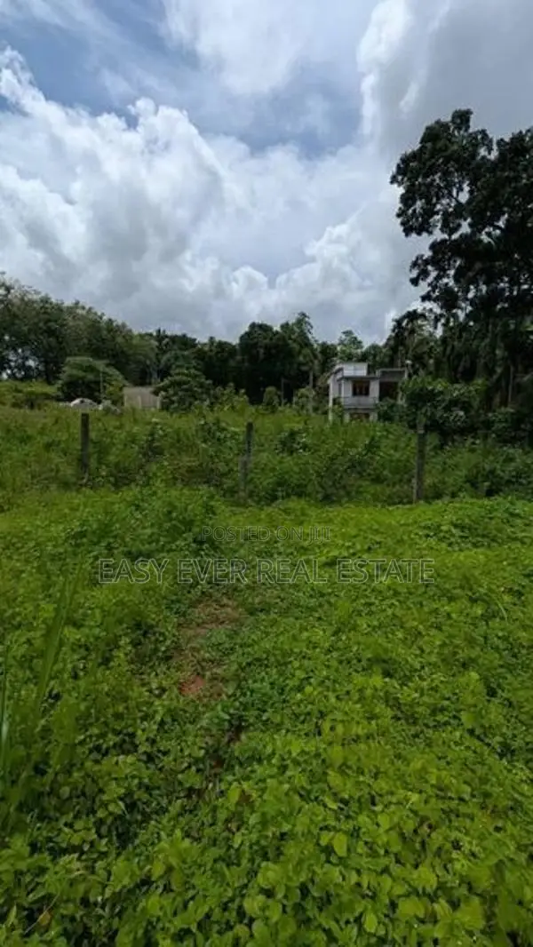 හෝමාගම – කිරිවත්තුඩුවෙන් පර්චස් 15 ක වටිනා ඉඩමක්