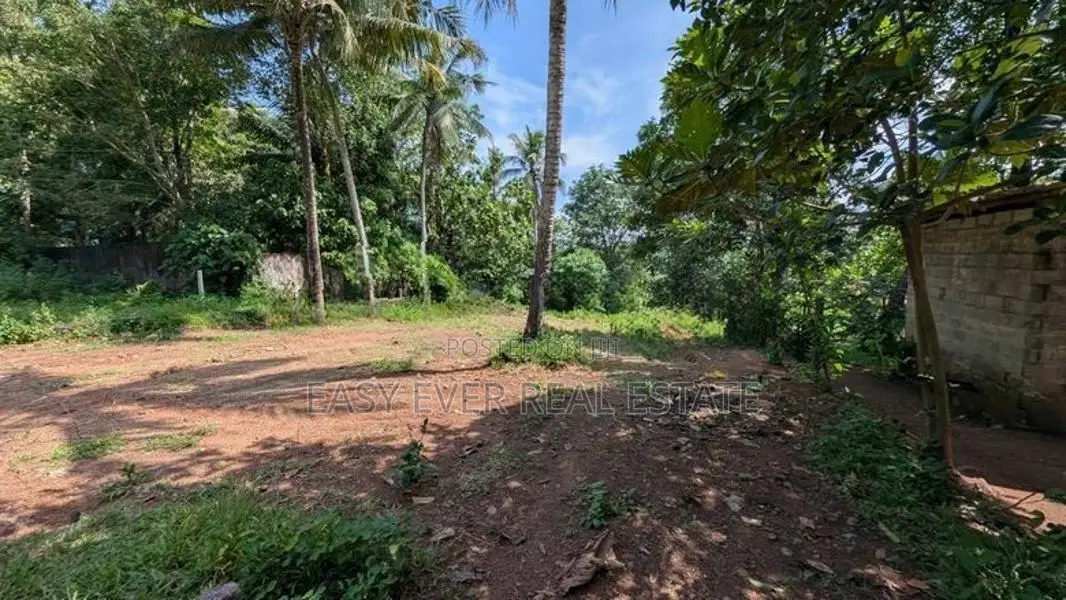 බියගමින් පර්චස් 10යි ලක්ෂ 40යි සුපිරි ආයෝජන අවස්ථාවක්