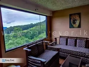 view පොයින්ට් එකක් සහිත නුවරඑළිය පාර, පුස්සැල්ලාවෙන් Villa 2ක් විකිණීම