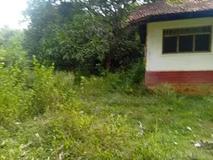 5 Acre Narammala Land for Sale