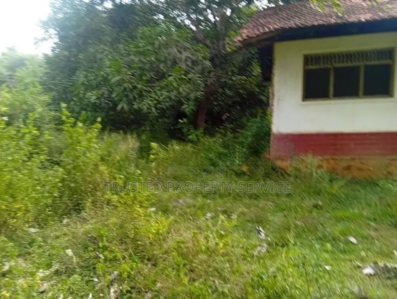 5 Acre Narammala Land for Sale