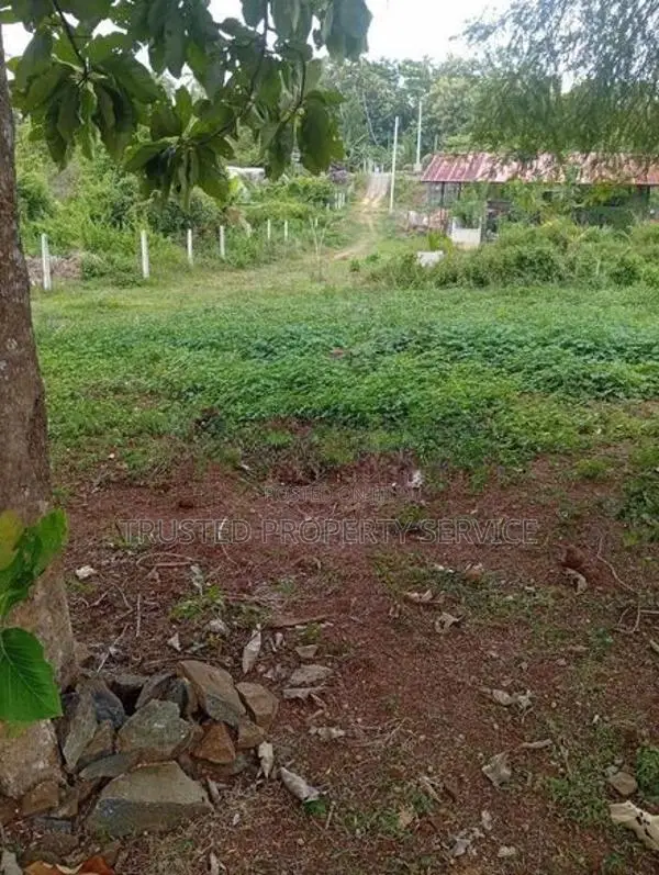 5 Acre Narammala Land for Sale