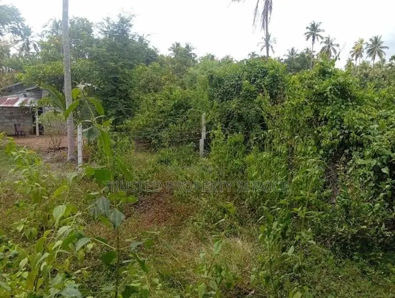 5 Acre Narammala Land for Sale