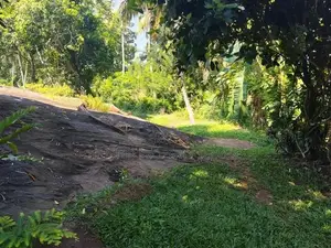 Pothuhara House for Sale