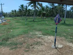 යටදොල බිම් කොටස්