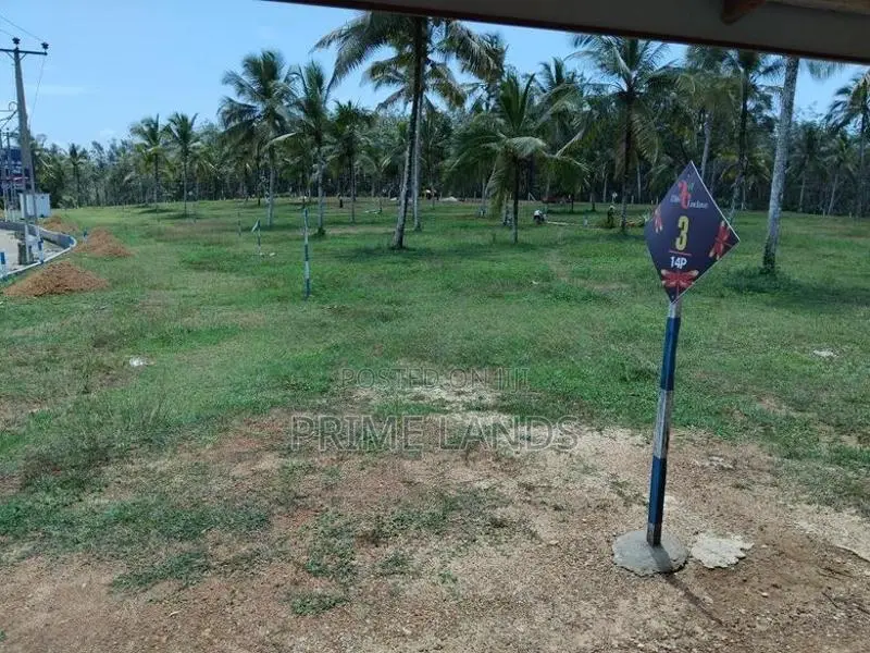 යටදොල බිම් කොටස්
