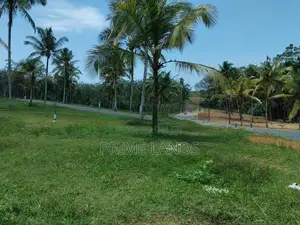 යටදොල බිම් කොටස්