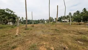 ගම්පහ මිරිස්වත්තෙන් වටිනා ඉඩමක් විකිණීමට